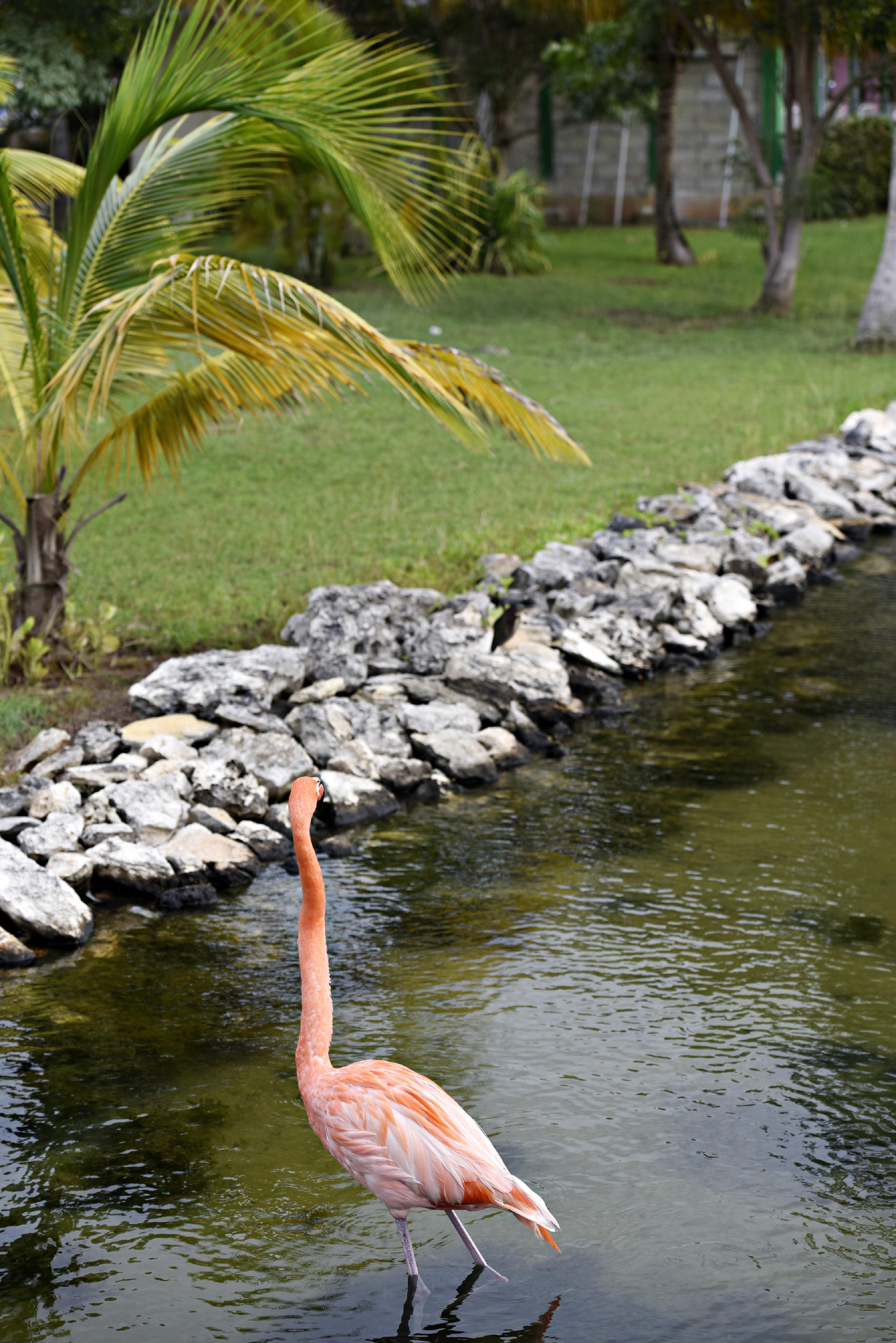 Memories Caribe Beach Resort (Adults Only) Cayo Coco Extérieur photo