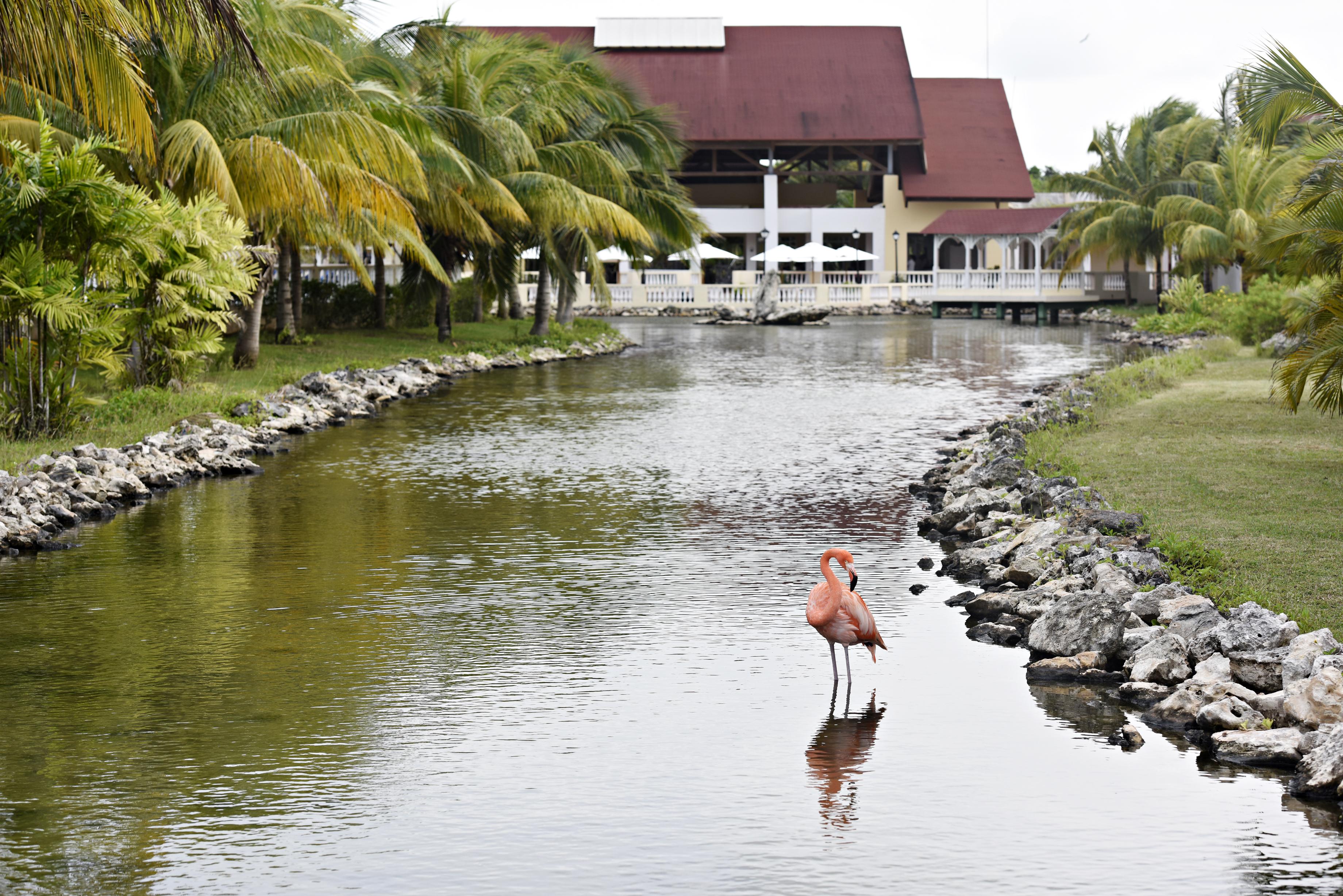 Memories Caribe Beach Resort (Adults Only) Cayo Coco Extérieur photo